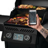 Napoleon Grill Rogue:REQ365MK