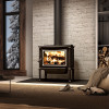 Enerzone Harmony 2.3 Wood Stove:AC01233