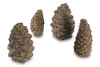 Peterson Real Fyre Pine Cones,:PC-4