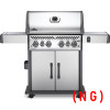 Napoleon Discontinued:RSE525RSIBNSS-1