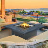 Napoleon Patio Flame:HAMP2-GY