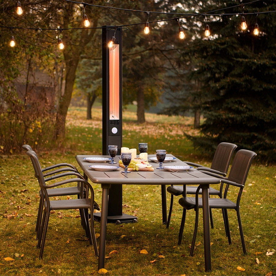 Napoleon Heaters Freestand Seri:NEOFV80IH