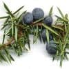 Angel’s Mist Juniper Berry Essential Oil