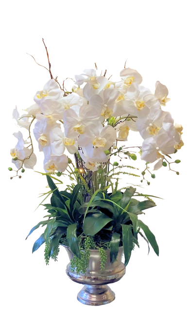 Signature Orchids Fount of Floral