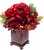 Christmas Red Hydrangea