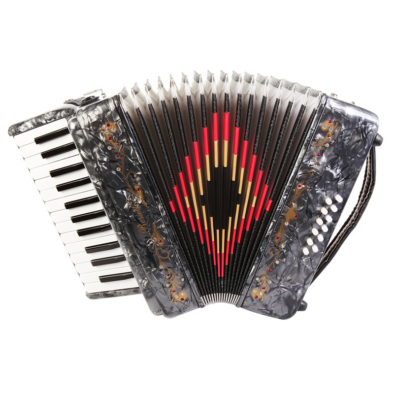 Rossetti 2512 25 Keys Piano Accordion - Grey - Alchemy Musical Supply