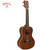 Kohala Akamai Series AK-CAE Concert Acoustic Electric Ukulele with Aquila Strings Kohala Akamai Series AK-CAE Concert Acoustic Electric Ukulele with Aquila Strings