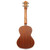 Lanikai CDST-T Cedar Solid Top Tenor Ukulele with Padded Gig Bag Lanikai CDST-T Cedar Solid Top Tenor Ukulele with Padded Gig Bag