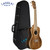Lanikai ACS-C All Solid Acacia Series Concert Size Satin Ukulele With Foam Case Lanikai ACS-C All Solid Acacia Series Concert Size Satin Ukulele With Foam Case