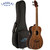 Lanikai FB-EBU Figured Bocote Acoustic Electric Bass Ukulele with Padded Bag Lanikai FB-EBU Figured Bocote Acoustic Electric Bass Ukulele with Padded Bag