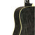J.N Guitars YAK-D Yakisugi Series Dreadnought Acoustic Guitar Dog Hair Black