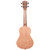 Kala KA-20 Series Meranti Body Concert Size Ukulele Satin Finish KA-20C  Kala KA-20 Series Meranti Body Concert Size Ukulele Satin Finish KA-20C