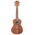 Kala Teak Series Concert Ukulele Satin Natural Finish KA-TEAK-C Kala Teak Series Concert Ukulele Satin Natural Finish KA-TEAK-C