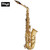 Stagg WS-AS215 Eb Alto Saxophone with High F# Key - Gold Lacquer Stagg WS-AS215 Eb Alto Saxophone with High F# Key - Gold Lacquer