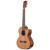 Kala KA-SCAC-T-CE Gloss Solid Cedar Top Acacia Cutaway A/E Tenor Ukulele  Kala KA-SCAC-T-CE Gloss Solid Cedar Top Acacia Cutaway A/E Tenor Ukulele