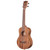 Kala Teak Series Tenor Ukulele Satin Natural Finish KA-TEAK-T Kala Teak Series Tenor Ukulele Satin Natural Finish KA-TEAK-T