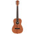 Lanikai LU Series LU21-B Okoume Baritone Satin Natural Finish Ukulele With Gig Bag Lanikai LU Series LU21-B Okoume Baritone Satin Natural Finish Ukulele With Gig Bag