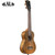 Kala KA-CM-SLN Curly Mango Long Neck Soprano Ukulele Satin Natural Kala KA-CM-SLN Curly Mango Long Neck Soprano Ukulele Satin Natural