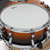 Premier Artist Series 20" 5PC Birch Drum Shell Pack Sunburst PAB20-5SPSUB