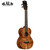 Kala Contour All Solid Gloss Acacia Tenor Ukulele With Bag KA-CT-SA-TG Kala Contour All Solid Gloss Acacia Tenor Ukulele With Bag KA-CT-SA-TG