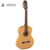 Admira MACARENA Flamenca Solid Spruce Top Classical Acoustic Guitar - Made In Spain