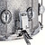 Premier Genista Maple 14" x 7" Silver Sparkle Snare Drum PGM1407SSSX Premier Genista Maple 14" x 7" Silver Sparkle Snare Drum PGM1407SSSX