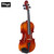 Stagg VN-4/4-L Spruce Top 4/4 Size Deluxe Violin Ensemble with Case, Bow & Rosin