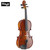 Stagg VN-4/4 EF Solid Maple 4/4 Size Violin Ensemble with Ebony Fingerboard