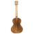 Lanikai ACST-T Solid Acacia Top Tenor Size Ukulele Natural with Padded Gig Bag Lanikai ACST-T Solid Acacia Top Tenor Size Ukulele Natural with Padded Gig Bag