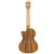 Lanikai Acacia Series ACST-CET Cutaway Acoustic Electric Tenor Ukulele With Gig Bag Lanikai Acacia Series ACST-CET Cutaway Acoustic Electric Tenor Ukulele With Gig Bag