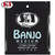 SIT B51024 Medium Loop End Stainless Steel 5-String Banjo Strings 10-10