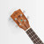 Kala Voyage Series Legacy Mahogany Concert Ukulele With Gig Bag KA-LEGACY-C