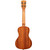 Kala Voyage Collection Hibiscus Mahogany Concert Ukulele KA-HIBISCUS-C With Bag
