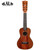 Kala All Solid Mahogany Taro Patch Concert Ukulele with Bag KA-TARO-ASMH-C