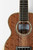 Kala West Coast Woods Walnut Top Tenor Ukulele With Gig Bag KA-WCW-WAL-T