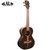 Kala KA-ZCT-T Ziricote Series Tenor Size Ukulele Dark Chocolate Brown Kala KA-ZCT-T Ziricote Series Tenor Size Ukulele Dark Chocolate Brown
