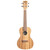 Kala KA-PWC/LH Pacific Walnut Series Concert Ukulele Light Brown Left Hand Kala KA-PWC/LH Pacific Walnut Series Concert Ukulele Light Brown Left Hand