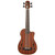 Kala U-BASS Journeyman Acoustic Electric Ukulele with F-Holes Satin Finish Kala U-BASS Journeyman Acoustic Electric Ukulele with F-Holes Satin Finish