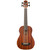Kala U-BASS Wanderer Acoustic Electric Mahogany Satin Finish with Gig Bag Kala U-BASS Wanderer Acoustic Electric Mahogany Satin Finish with Gig Bag