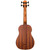 Kala U-BASS Wanderer Acoustic Electric Mahogany Satin Finish with Gig Bag Kala U-BASS Wanderer Acoustic Electric Mahogany Satin Finish with Gig Bag