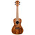 Kala KA-SA-C Solid Acacia Series Concert Ukulele with Aquila Super Nylgut String Kala KA-SA-C Solid Acacia Series Concert Ukulele with Aquila Super Nylgut String