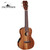 Islander by Kanile'a AC-4-EQ Acacia Series Concert Acoustic Electric Ukulele