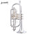 Levante LV-CR5201 Silver Plated Key of Bb Intermediate Cornet with Soft Case Levante LV-CR5201 Silver Plated Key of Bb Intermediate Cornet with Soft Case