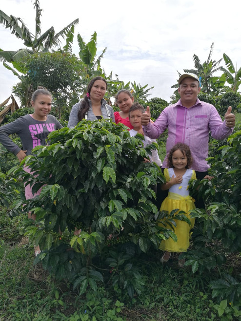 2019 Special Variety - Gesha - Colombia - Alexander Hernandez