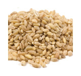 Pearled Barley 25lb View Product Image