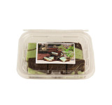 Chocolate Mint Swirl Fudge 8/12oz View Product Image