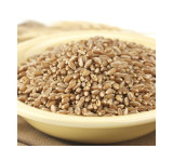 Bronze Chief Kernels 50lb View Product Image