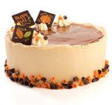 Fall Kit Chocolate Curls & Leaves 1ct View Product Image