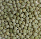 20lb Whole Green Peas View Product Image