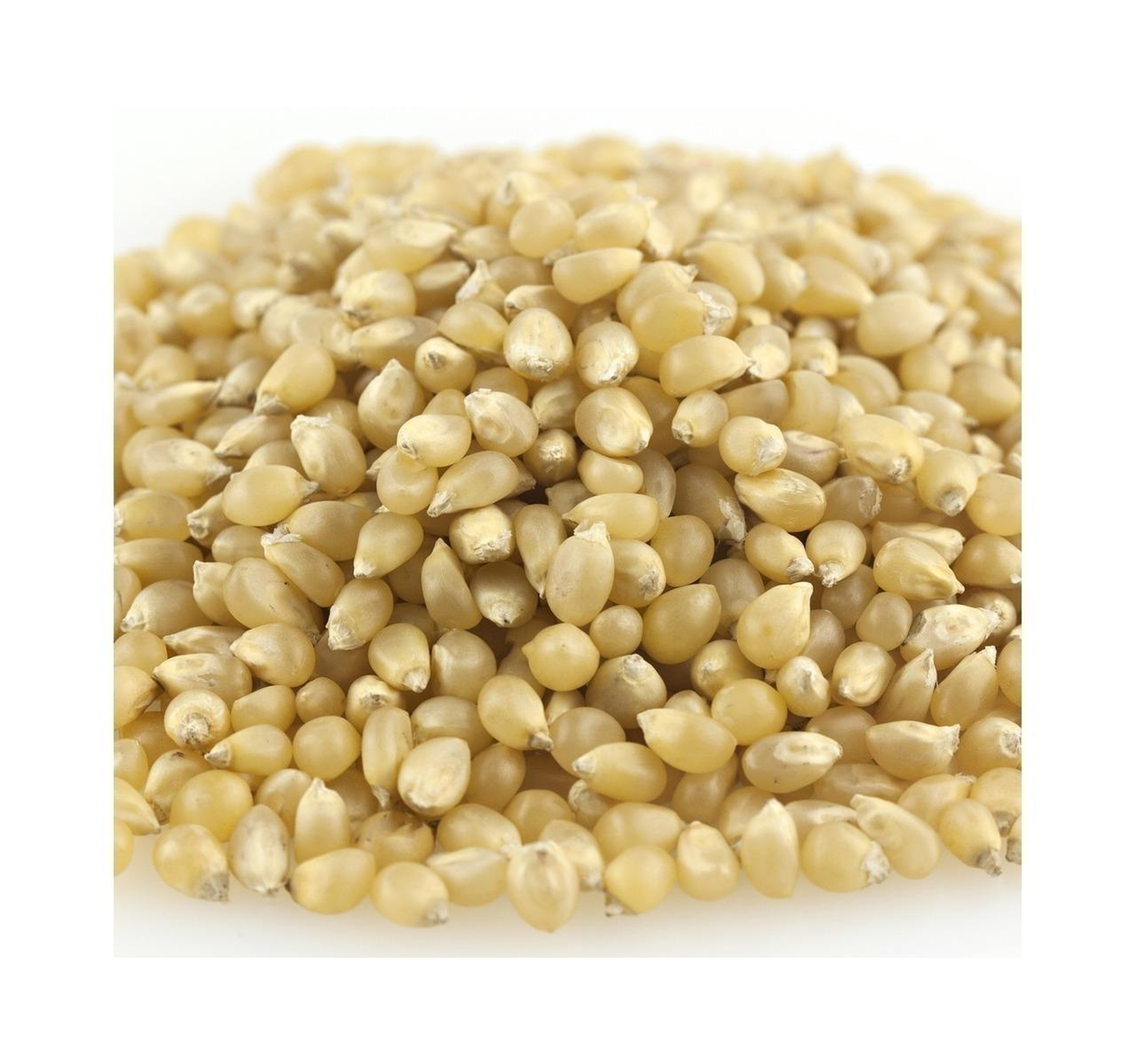 Medium White Popcorn 50lb